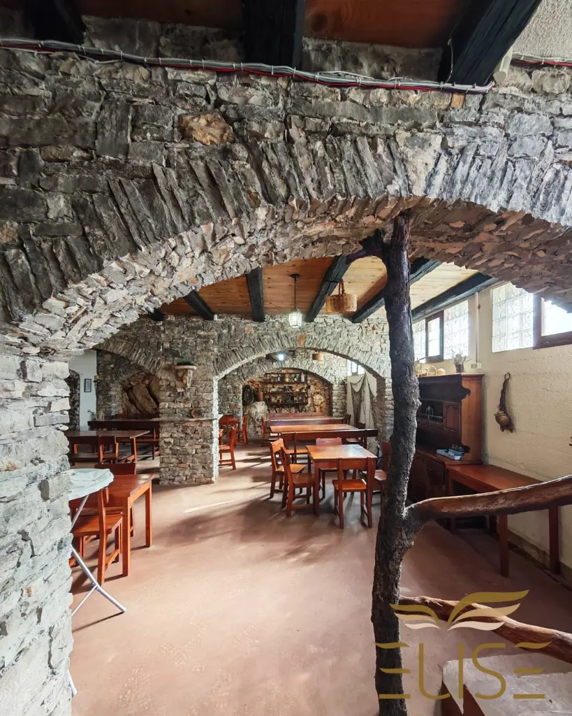 WhatsApp Image 2026-02-17 at 11.26.17.webp