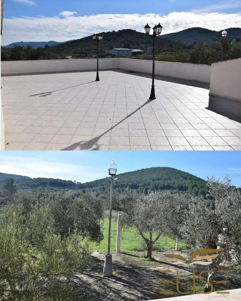 WhatsApp Image 2026-02-17 at 11.26.23.webp