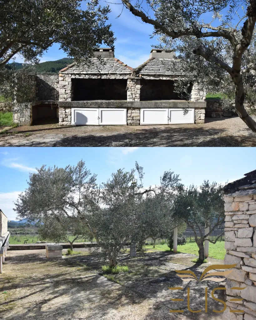 WhatsApp Image 2026-02-17 at 11.26.17 (4).webp