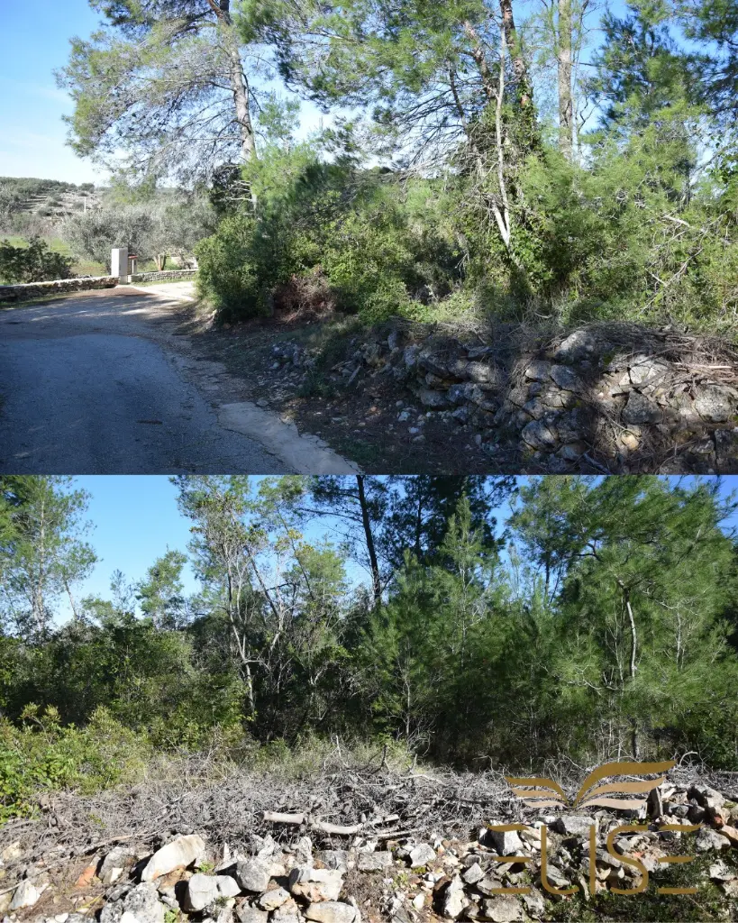 WhatsApp Image 2026-02-19 at 10.22.30 (1).webp